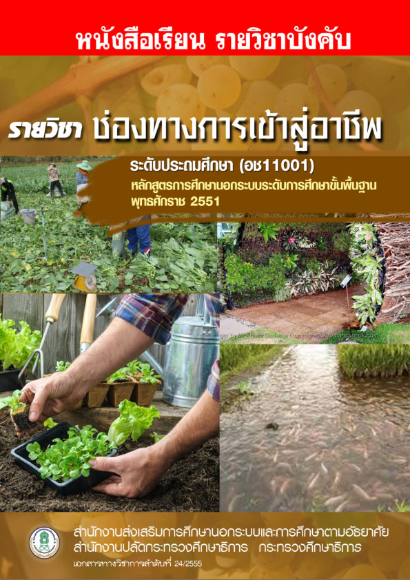 อช11001 ช่องทางการเข้าสู่อาชีพ